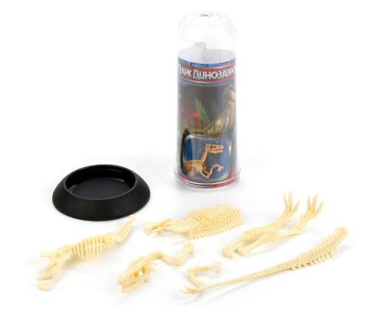 Игровой набор "Скелет динозавра в тубусе", вариант 5