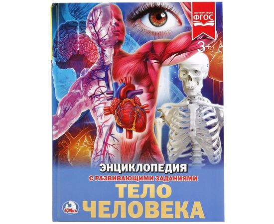 Энциклопедия с заданиями "Тело человека"