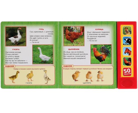 Книга со звуками "Домашние животные. 50 голосов"