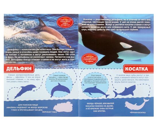 Книжка с многоразовыми наклейками "Морские животные"