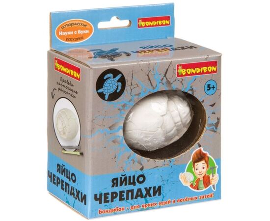 Археологические раскопки "Яйцо черепахи"
