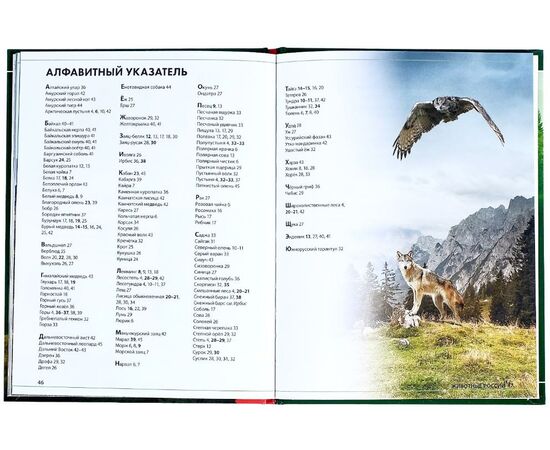 Детская энциклопедия "Животные России", Буква-Ленд
