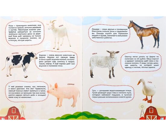 Набор книг с наклейками "Энциклопедии о животных. Ферма и Лесные звери"