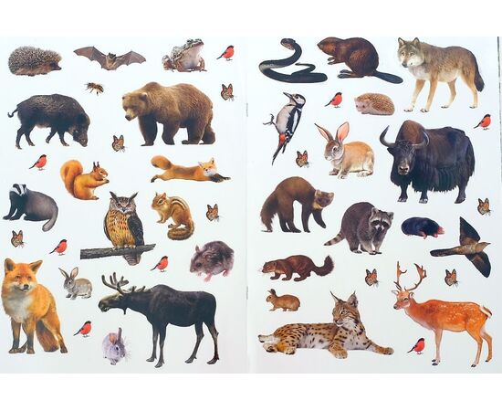 Набор книг с наклейками "Энциклопедии о животных. Ферма и Лесные звери"