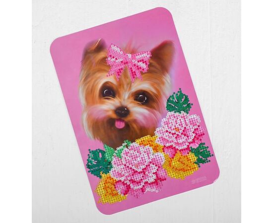 Алмазная вышивка на шкатулке "Собака и цветы"