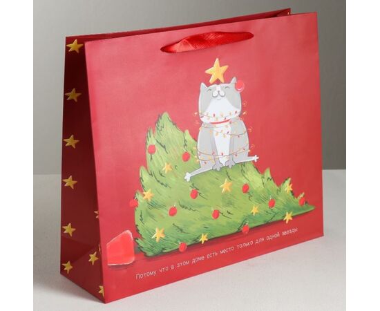 Пакет подарочный "Котик-звезда", 30×26 см