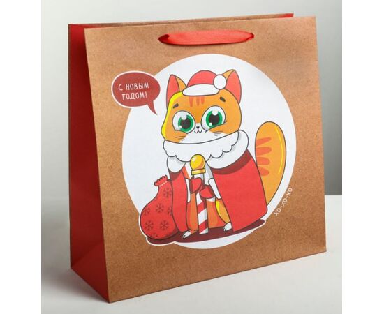 Пакет подарочный "С новым годом! Котик", 30×30 см
