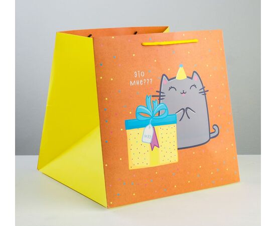 Пакет квадратный "Котик и тортик", 30×30×30 см