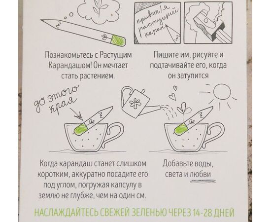 Растущие карандаши "Чайный набор", 3 штуки