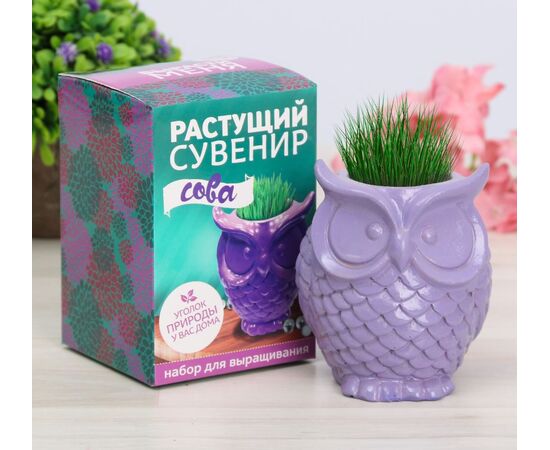 Растущий подарок, трава в горшочке "Сова"