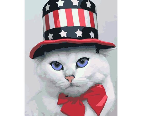 Роспись по холсту по номерам "Американский кот"