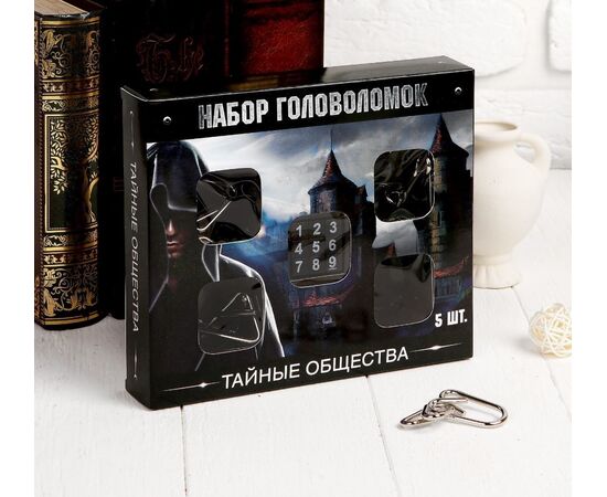 Набор металлических головоломок "Тайные общества" 5 шт