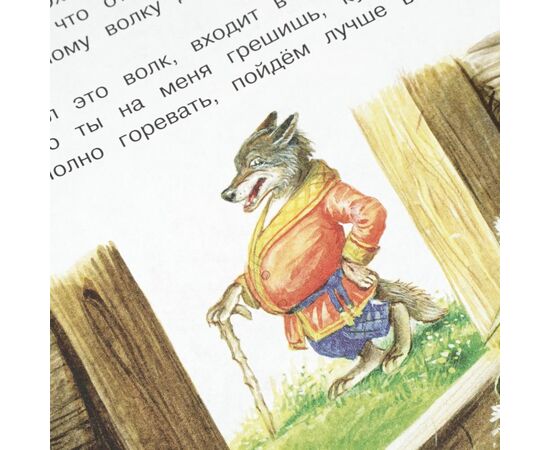 Книга "Добрые русские сказки. Мир волшебства", 96 страниц