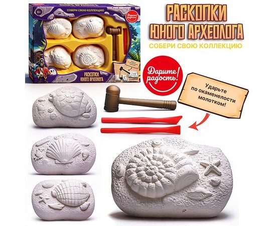 Набор археолога 4 в 1 "Ракушки