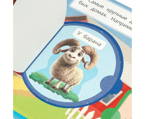 Книжка с окошками "Наша ферма", 12 окошек