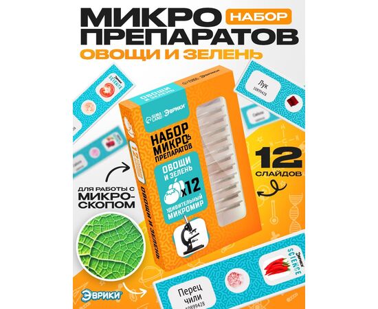 Набор для опытов «Набор микропрепаратов», овощи и зелень