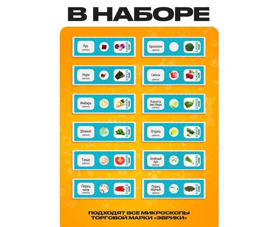 Набор для опытов «Набор микропрепаратов», овощи и зелень