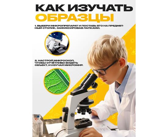 Набор для опытов «Набор микропрепаратов», овощи и зелень