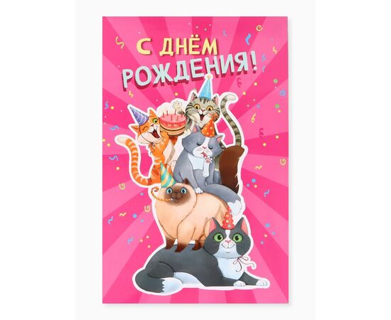 Открытка с карманом для денег "С Днем рождения! Коты" 19×29 см