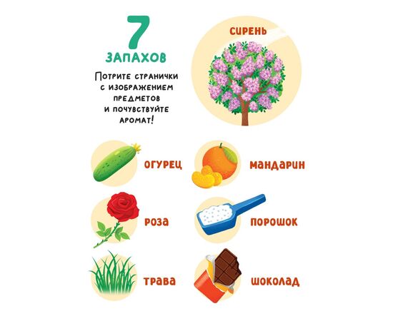 Ароматная книга с окошками "Чем пахнет всё вокруг?"