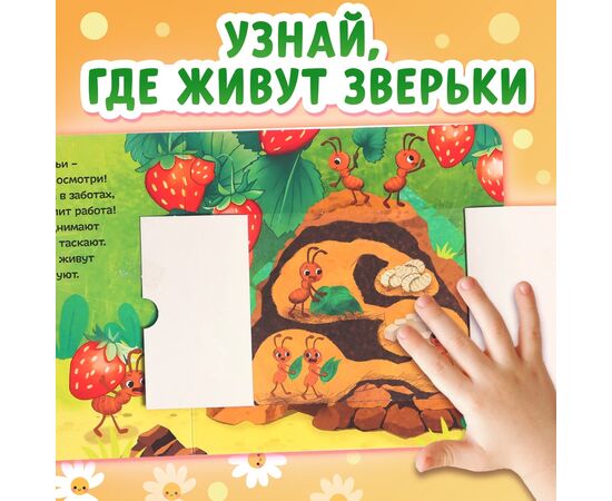 Картонная книга с окошками "Кто в домике живет?"
