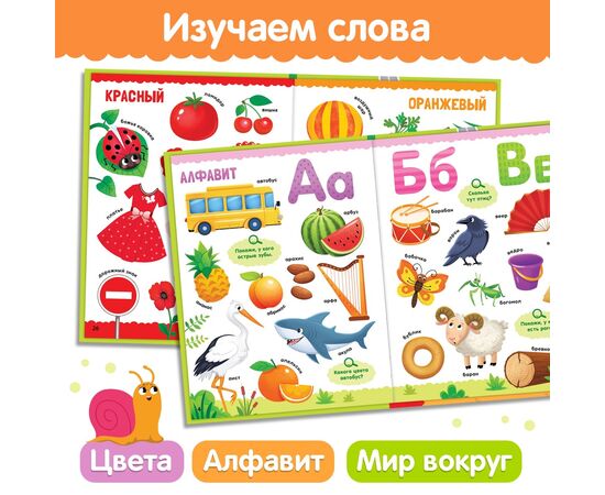 Книга детская "500 первых слов. Найди и покажи"
