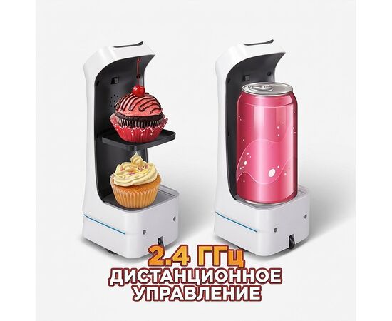 Робот на р/у "Доставщик"
