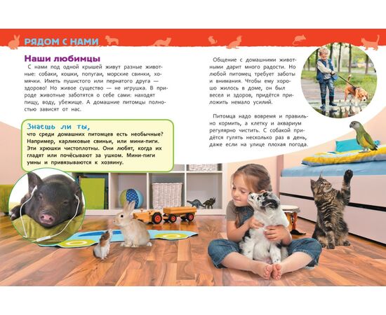 Энциклопедия для детского сада "Домашние питомцы"