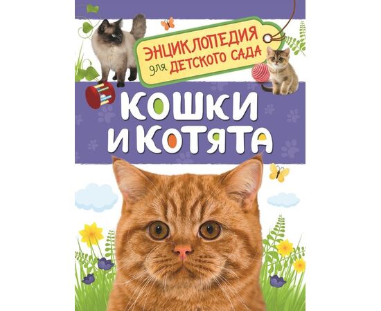 Энциклопедия для детского сада "Кошки и котята"