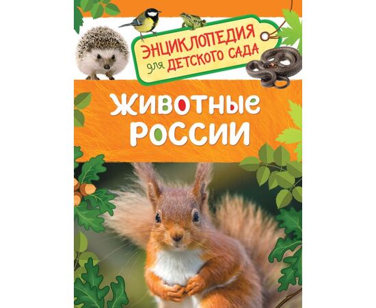 Энциклопедия для детского сада "Животные России"
