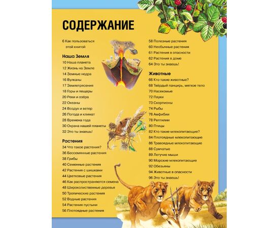 Энциклопедия необходимых знаний