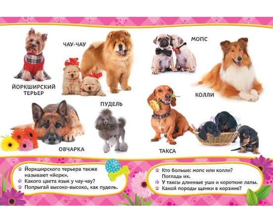 Книжка для малышей с яркими картинками "Собака лучший друг"