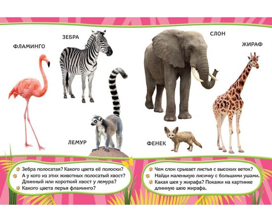 Книжка для малышей с яркими картинками "Удивительные животные"