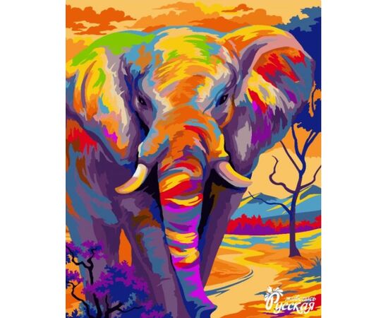 Роспись по холсту по номерам "Красочный слон"