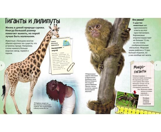 Книга "Самые-самые животные. Энциклопедия удивительных фактов"