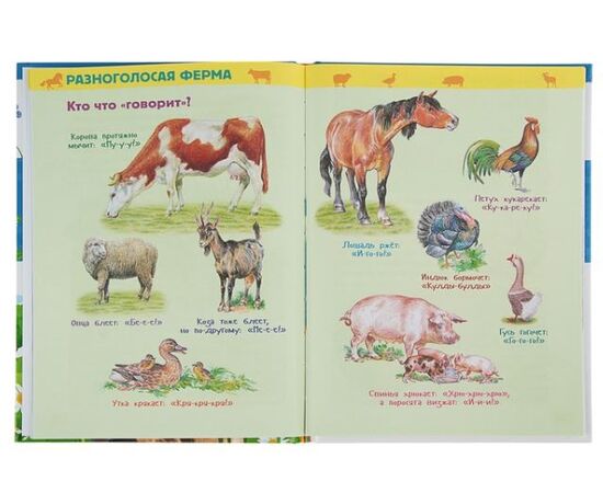 Книга "Животные фермы. Энциклопедия для детского сада"