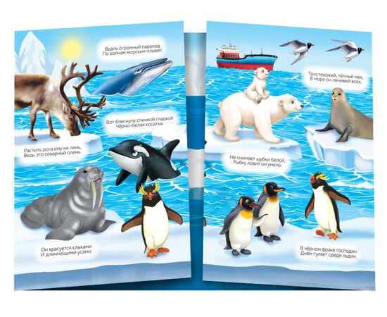 Набор книжек с многоразовыми наклейками "Изучаем животных"