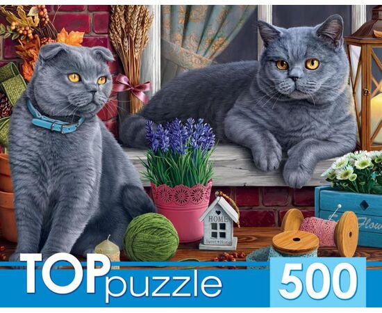 TOPpuzzle "Два британских кота 500 элементов