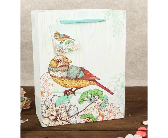 Пакет подарочный "Певчая птичка" цвета в ассортименте