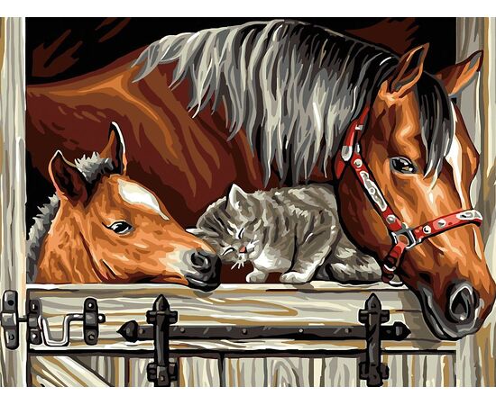 Рисование по номерам "Лошадь и жеребенок" 40 на 30 см