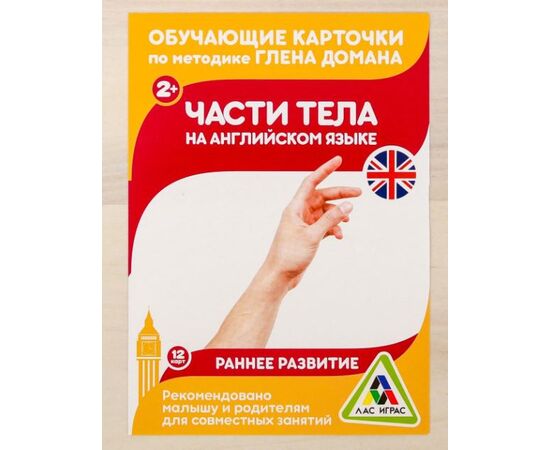 Обучающие карточки "Части тела на английском языке", 12 шт, 15×10 см