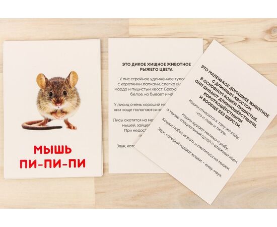 Обучающие карточки "Что говорят животные?", 12 шт, 15×10 см