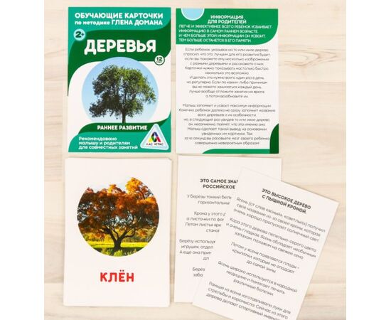 Обучающие карточки "Деревья", 12 шт, 15×10 см