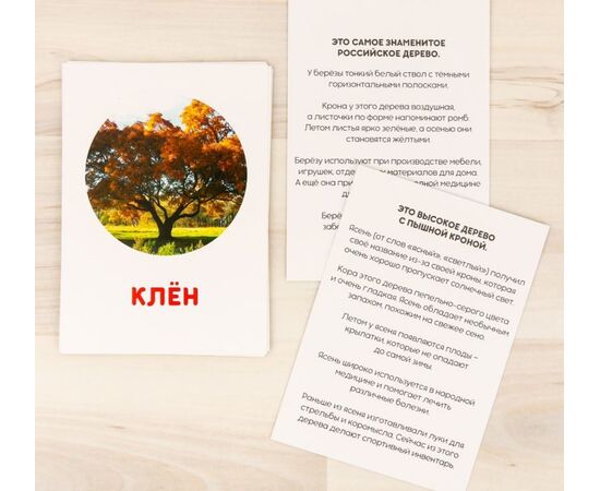 Обучающие карточки "Деревья", 12 шт, 15×10 см