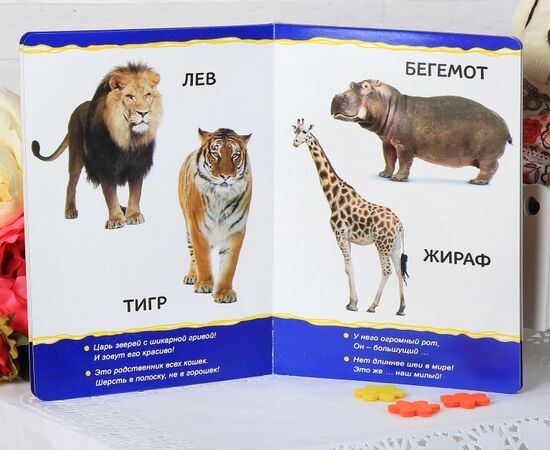 Книжка для малышей "Животные зоопарка"