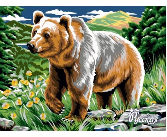 Роспись по холсту по номерам "Медведь", 30×40 см