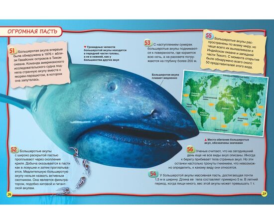 Энциклопедия для детей "100 фактов. Акулы"
