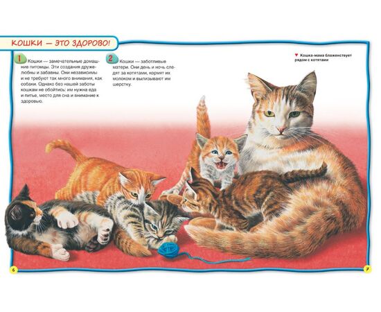 Энциклопедия для детей "100 фактов. Кошки и котята"