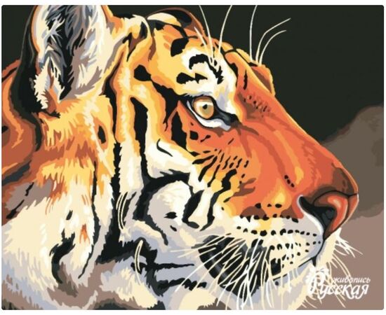 Роспись по холсту по номерам "Тигр", H013