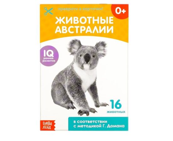 Обучающая книжка "Животные Австралии" по методике Домана